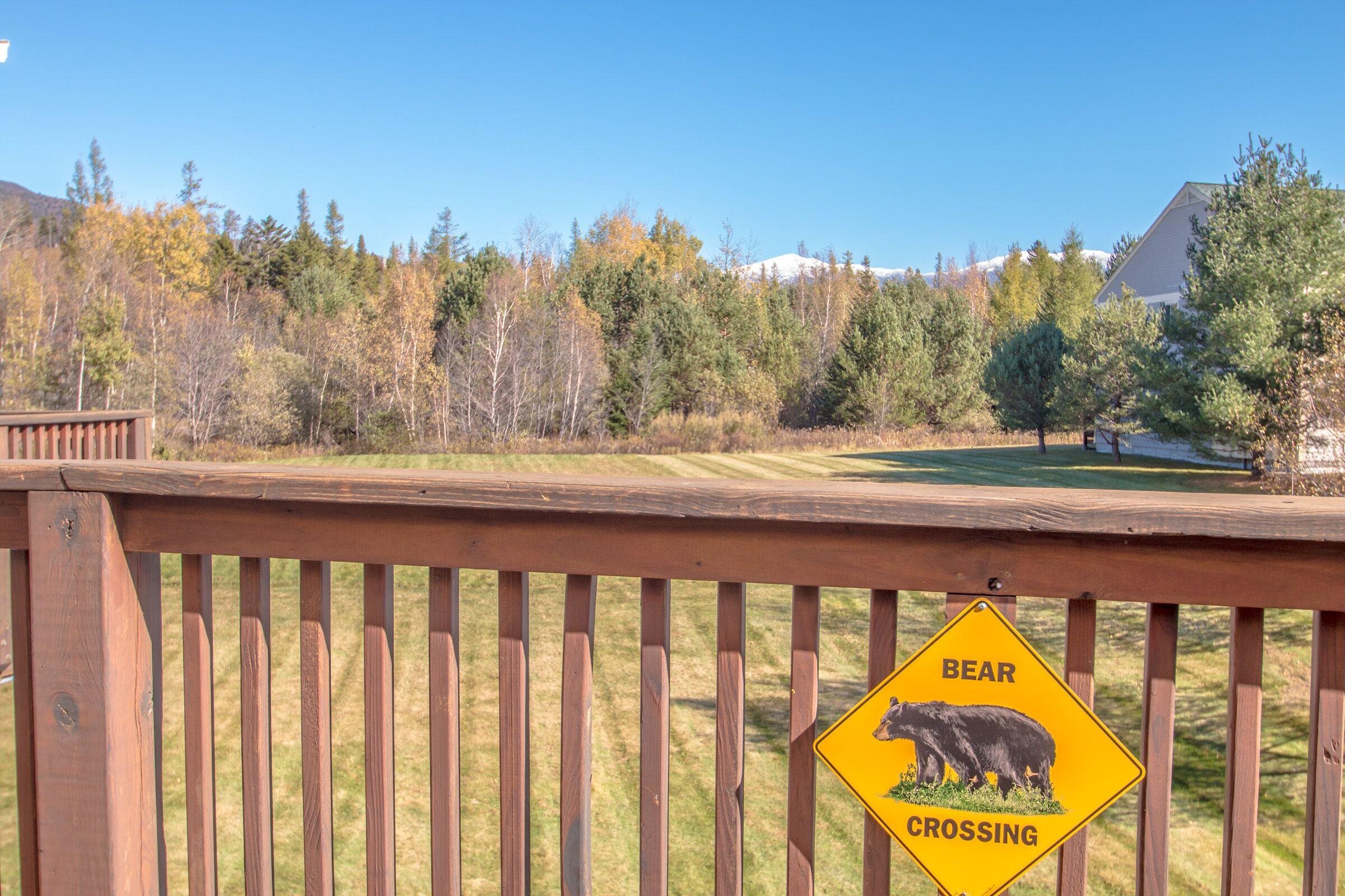 67 Stickney Circle, Unit 40 Carroll, NH 03595 - Photo 12 of 12