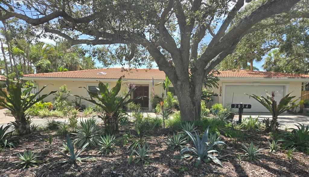 2834 Pelham Road North St. Petersburg, FL 33710 - Photo 54 of 61