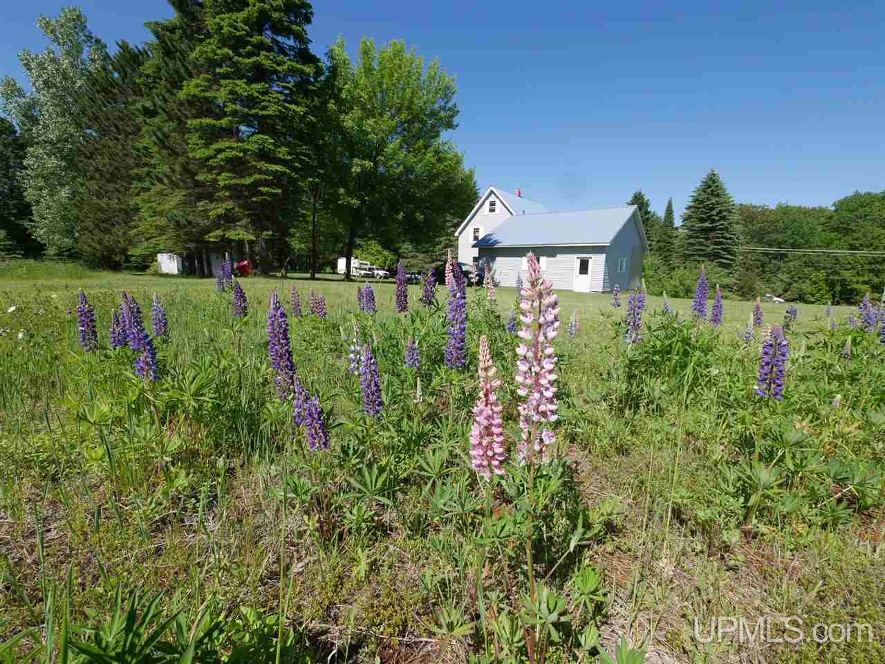 46687 Paradise Road Houghton, MI 49931 - Photo 23 of 33 Gallery Image 23