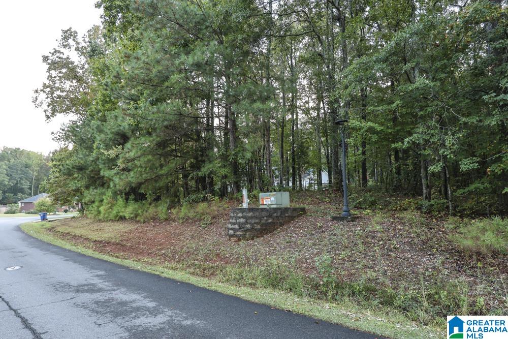 80 Forest Ridge Drive, Unit 22 Jacksonville, AL 36265 - Photo 3 of 9