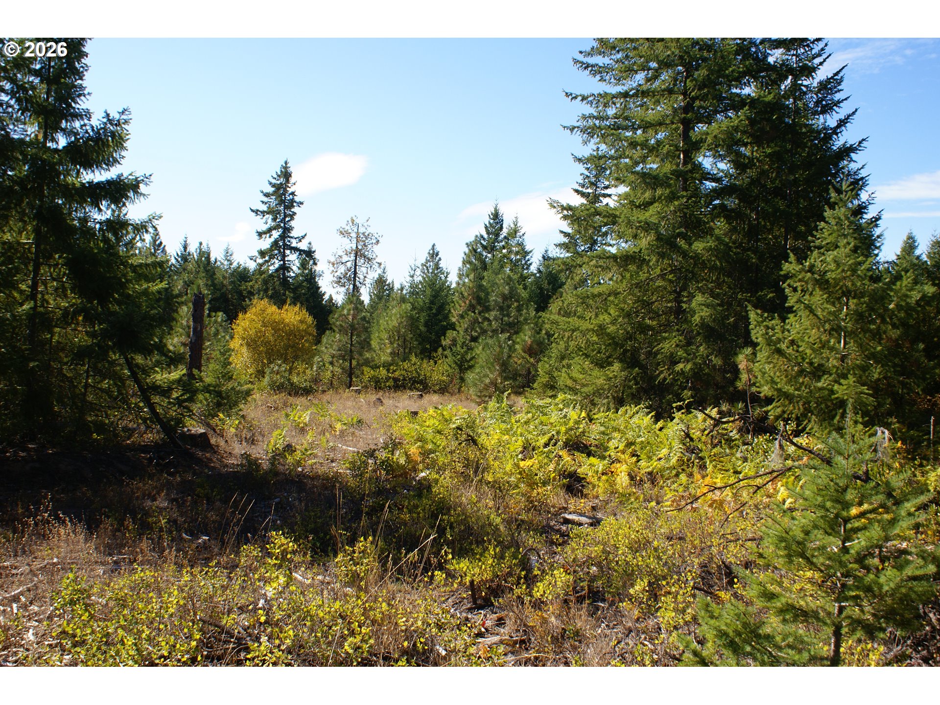 Cedar Valley Road Goldendale, WA 98620 - Photo 7 of 13 a view of outdoor space and trees
