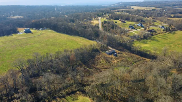a view of a backyard with wooden fence and a tree