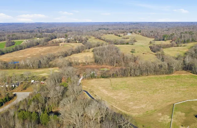 a view of a backyard with wooden fence and a tree