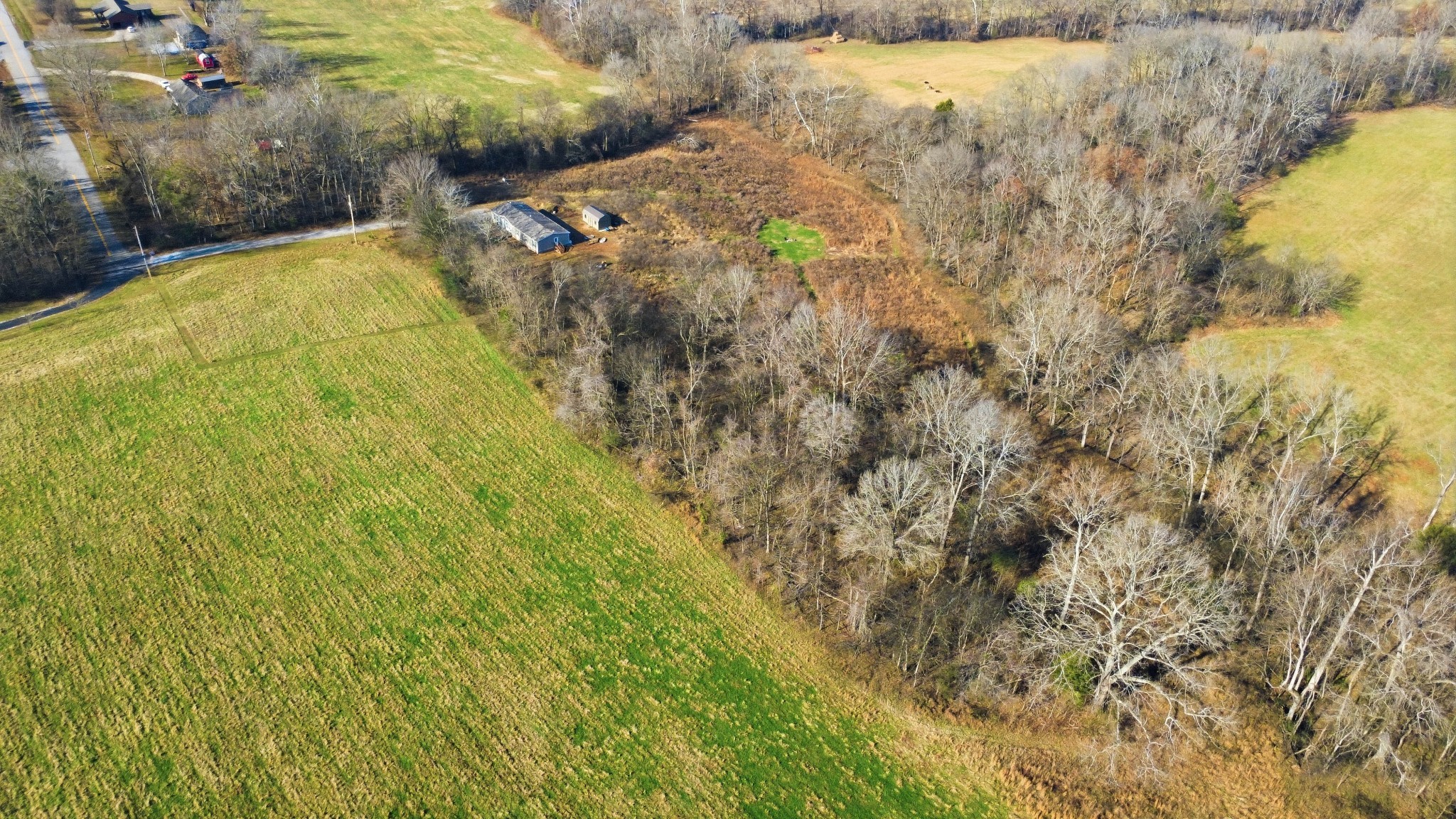 2535 Toler Court Woodlawn, TN 37191 - Photo 9 of 74