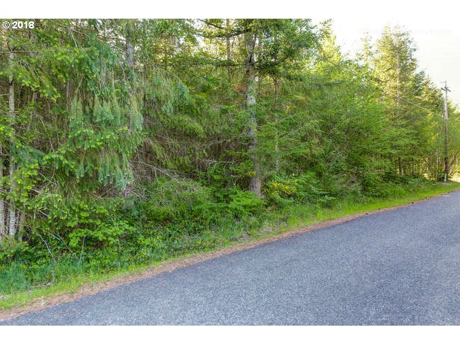 0 South Partridge Road Colton, OR 97017 - Photo 16 of 16 a view of a yard with a tree