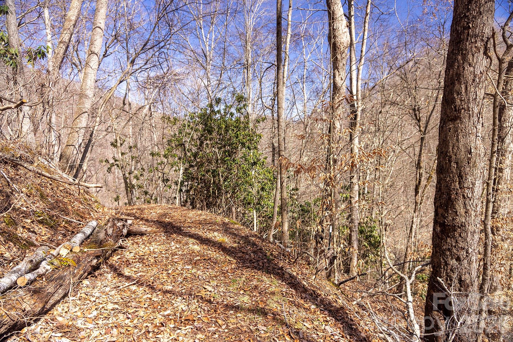 0 Devils Knob Road Mars Hill, NC 28754 - Photo 14 of 24 a view of a yard with a tree