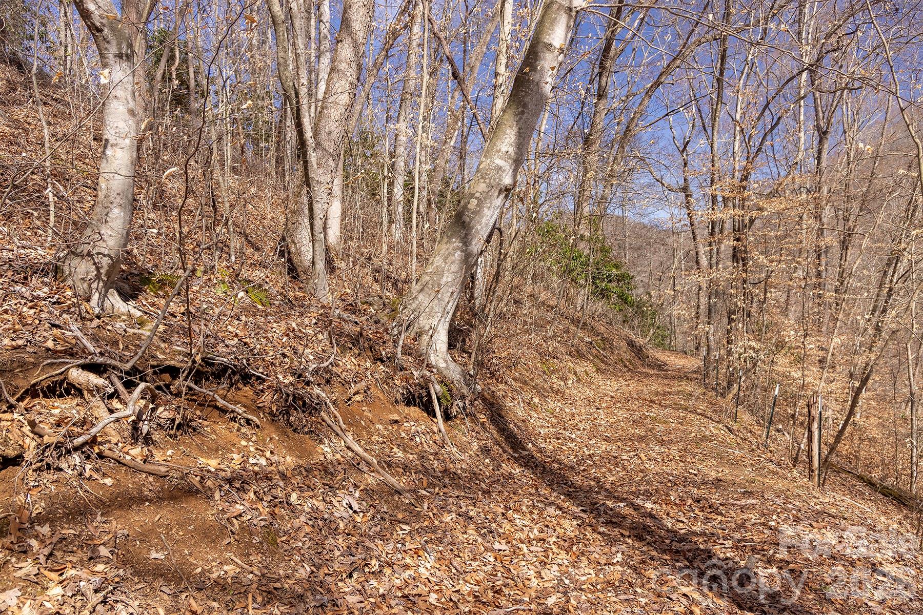 0 Devils Knob Road Mars Hill, NC 28754 - Photo 15 of 24 a view of covered with green space
