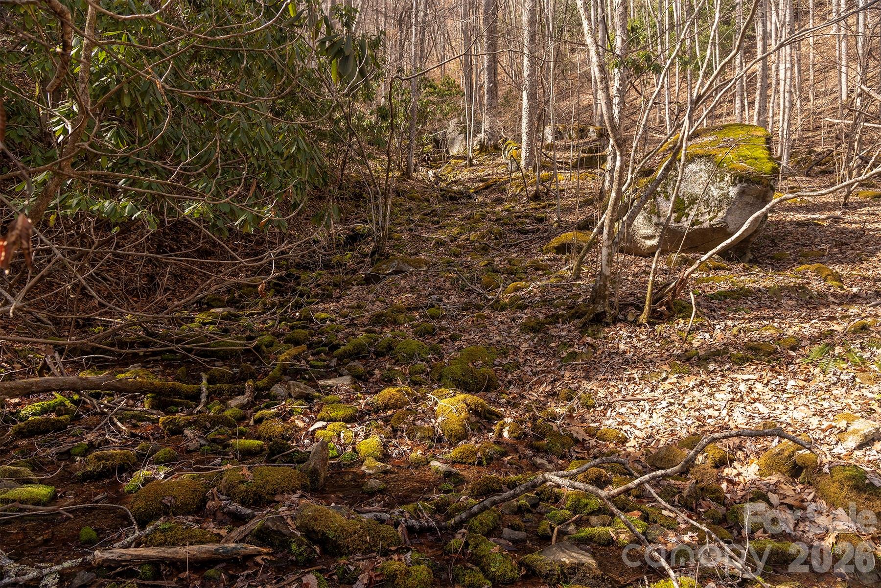 0 Devils Knob Road Mars Hill, NC 28754 - Photo 16 of 24 a view of a yard with plants and wooden fence