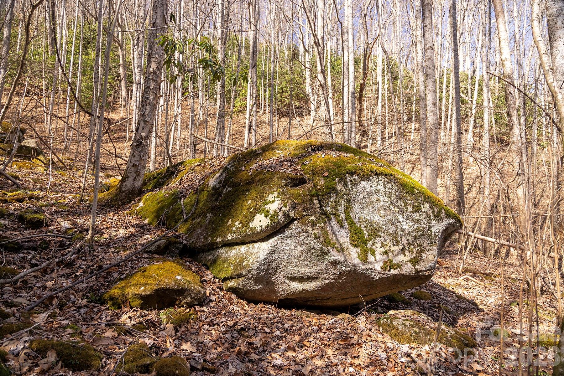 0 Devils Knob Road Mars Hill, NC 28754 - Photo 17 of 24 a view of a vase of flowers