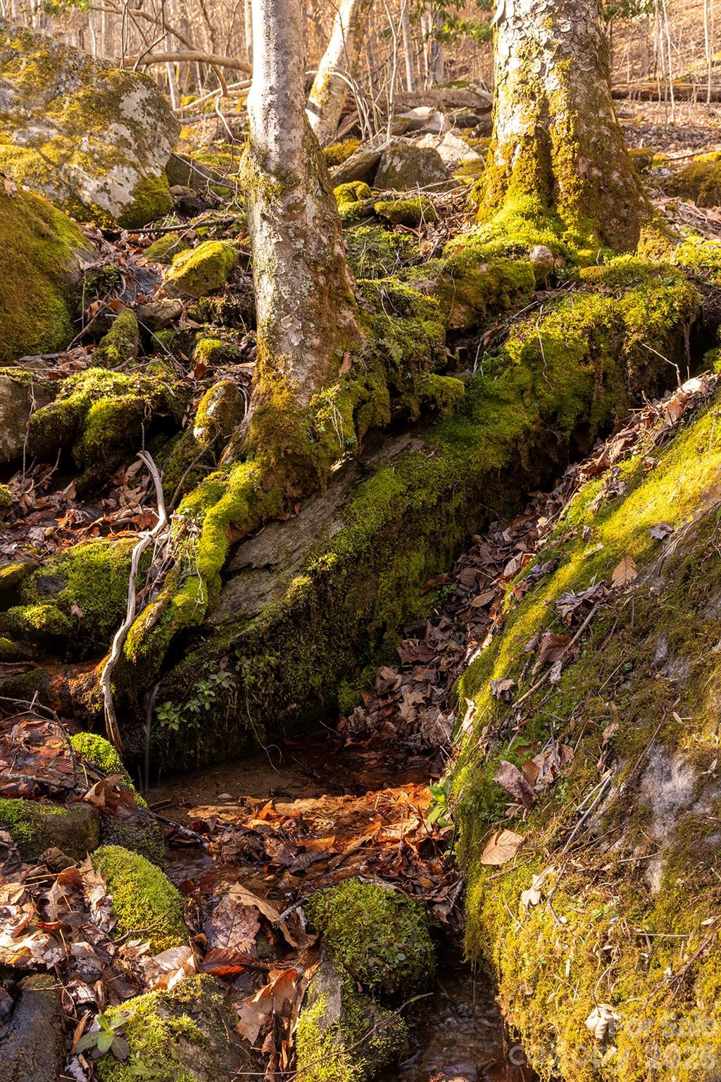 0 Devils Knob Road Mars Hill, NC 28754 - Photo 21 of 24 a view of outdoor space