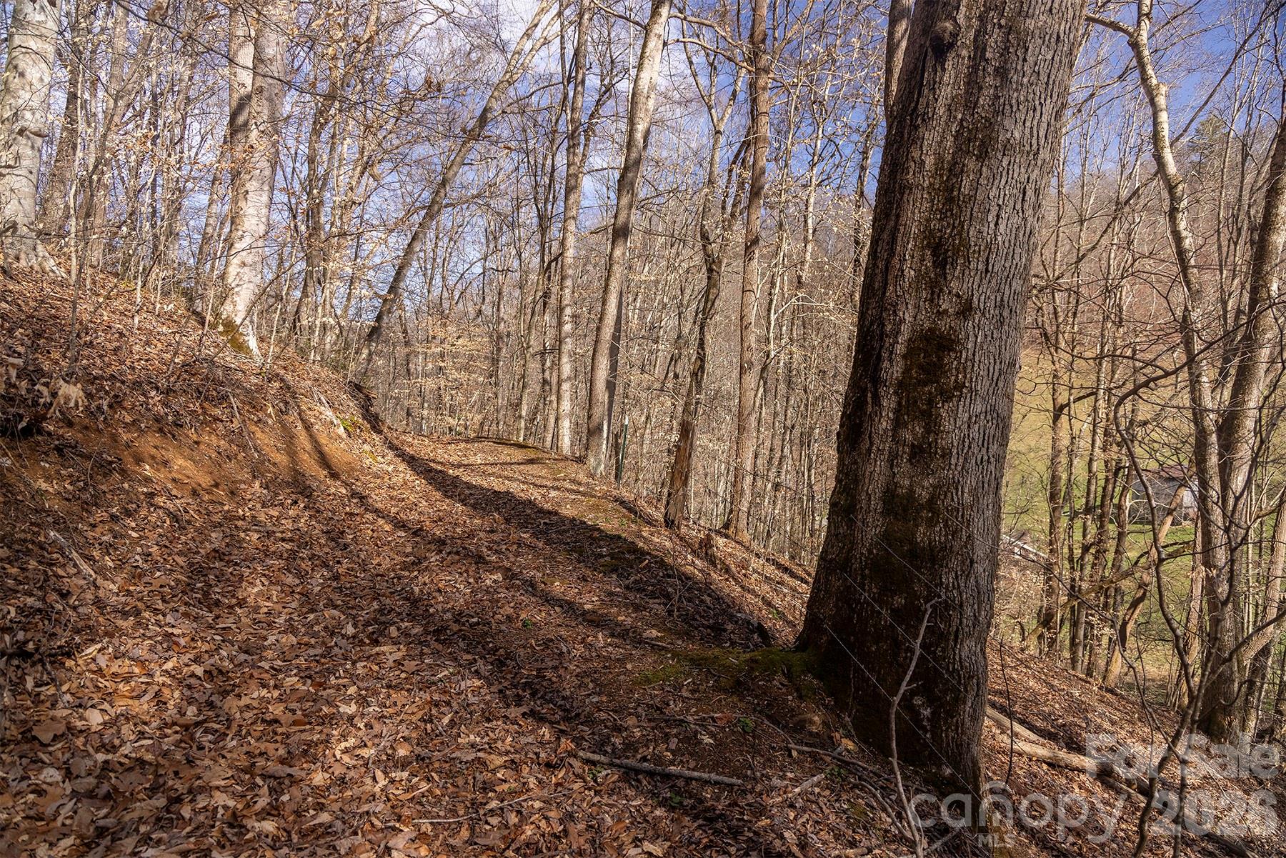 0 Devils Knob Road Mars Hill, NC 28754 - Photo 22 of 24 a view of a yard with large trees