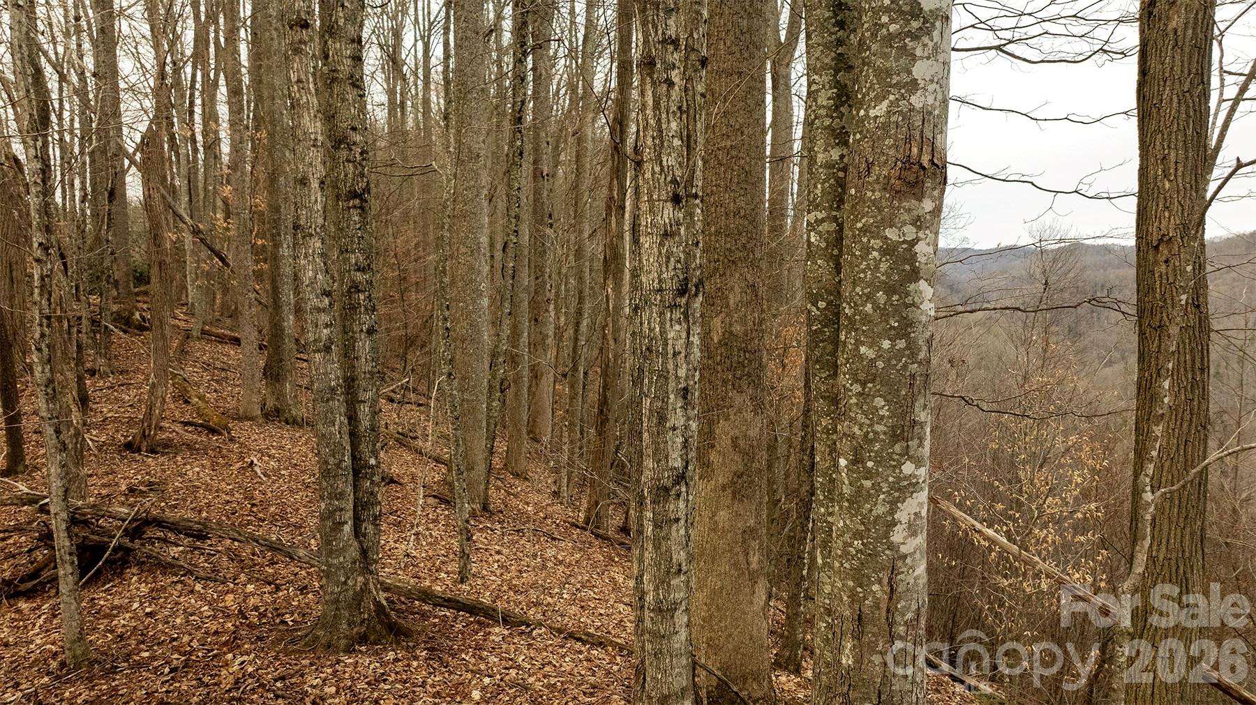 0 Devils Knob Road Mars Hill, NC 28754 - Photo 4 of 24 a bathroom with a shower