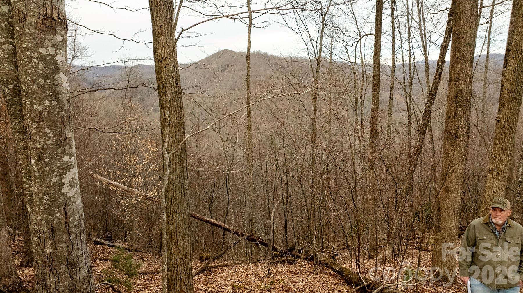 0 Devils Knob Road Mars Hill, NC 28754 - Photo 6 of 24 a bathroom with a shower