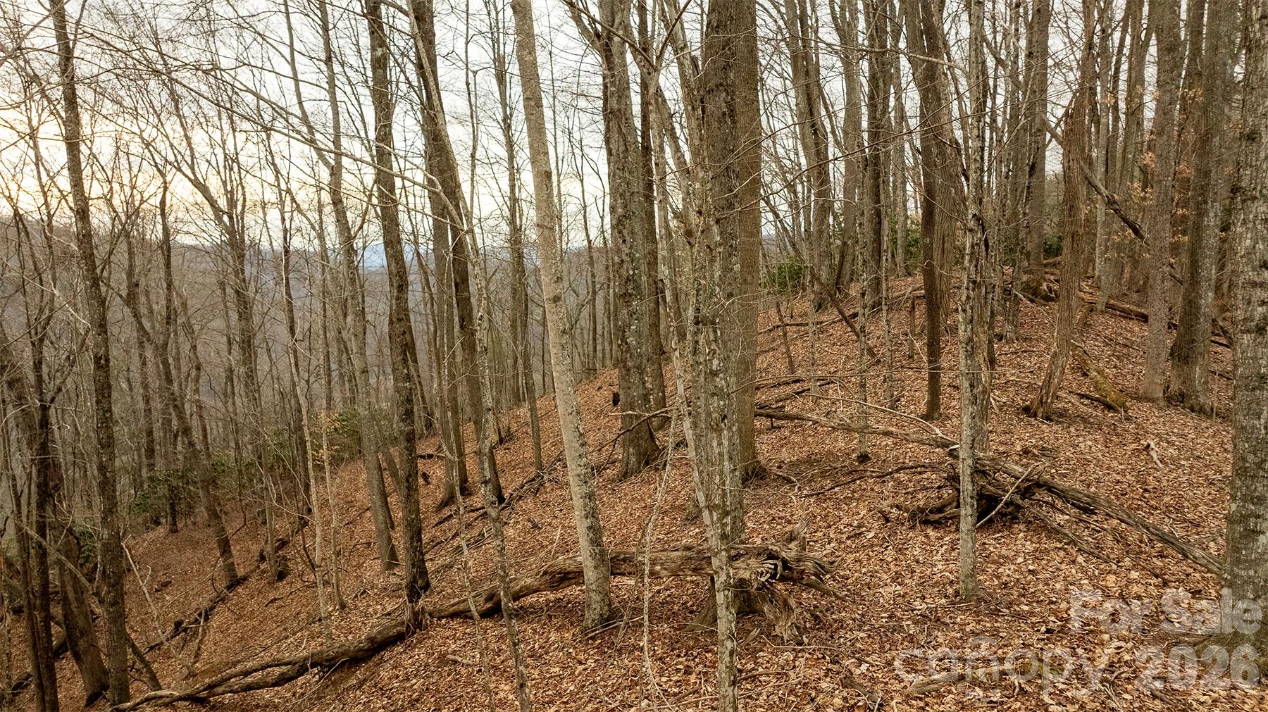 0 Devils Knob Road Mars Hill, NC 28754 - Photo 8 of 24 a view of a pathway