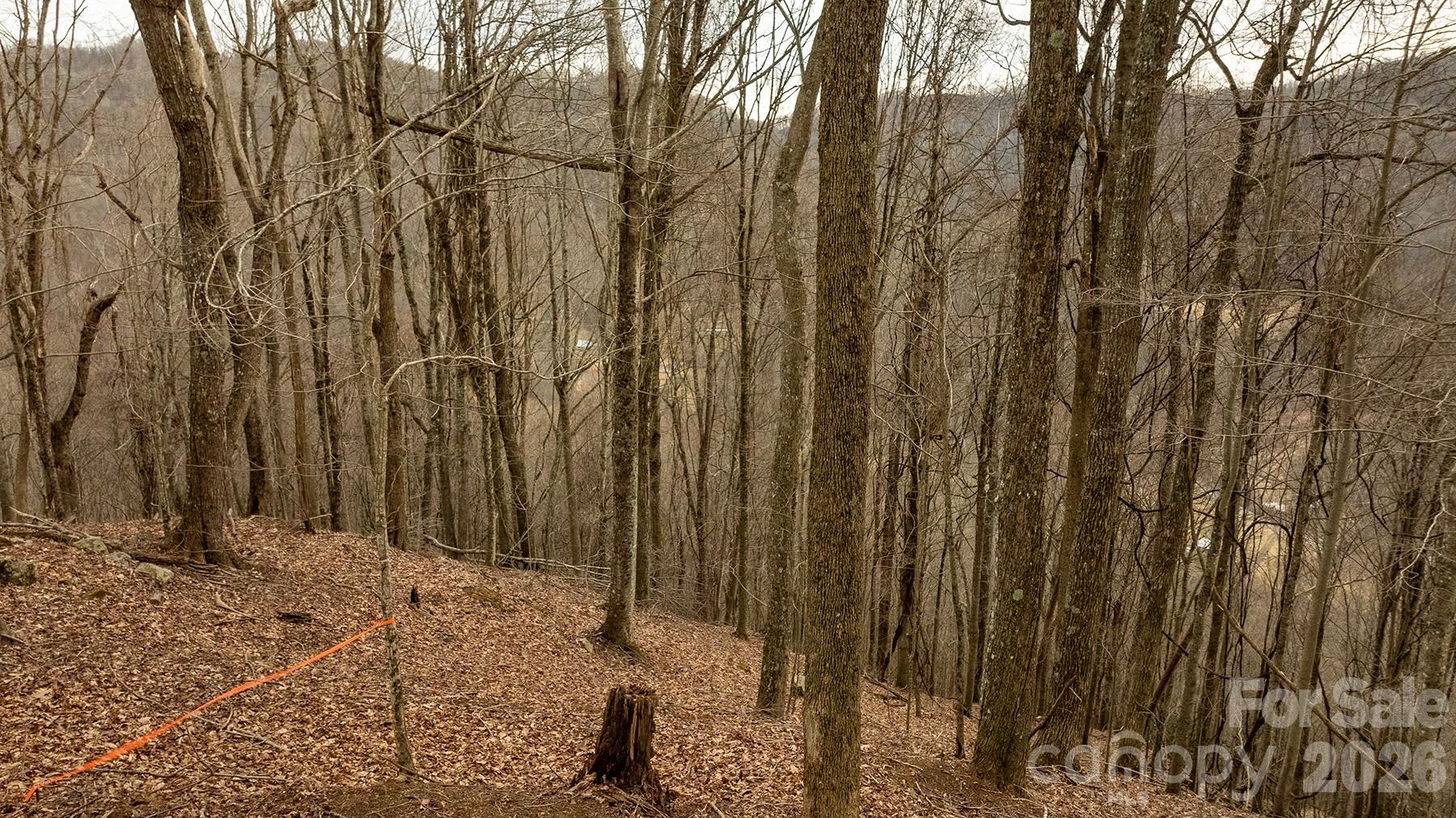 0 Devils Knob Road Mars Hill, NC 28754 - Photo 10 of 24 a view of a backyard