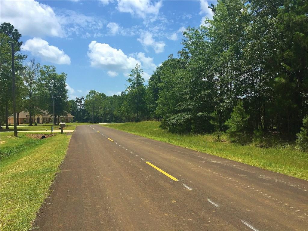 17494 Rising Fawn Road Amite, LA 70422 - Photo 2 of 3