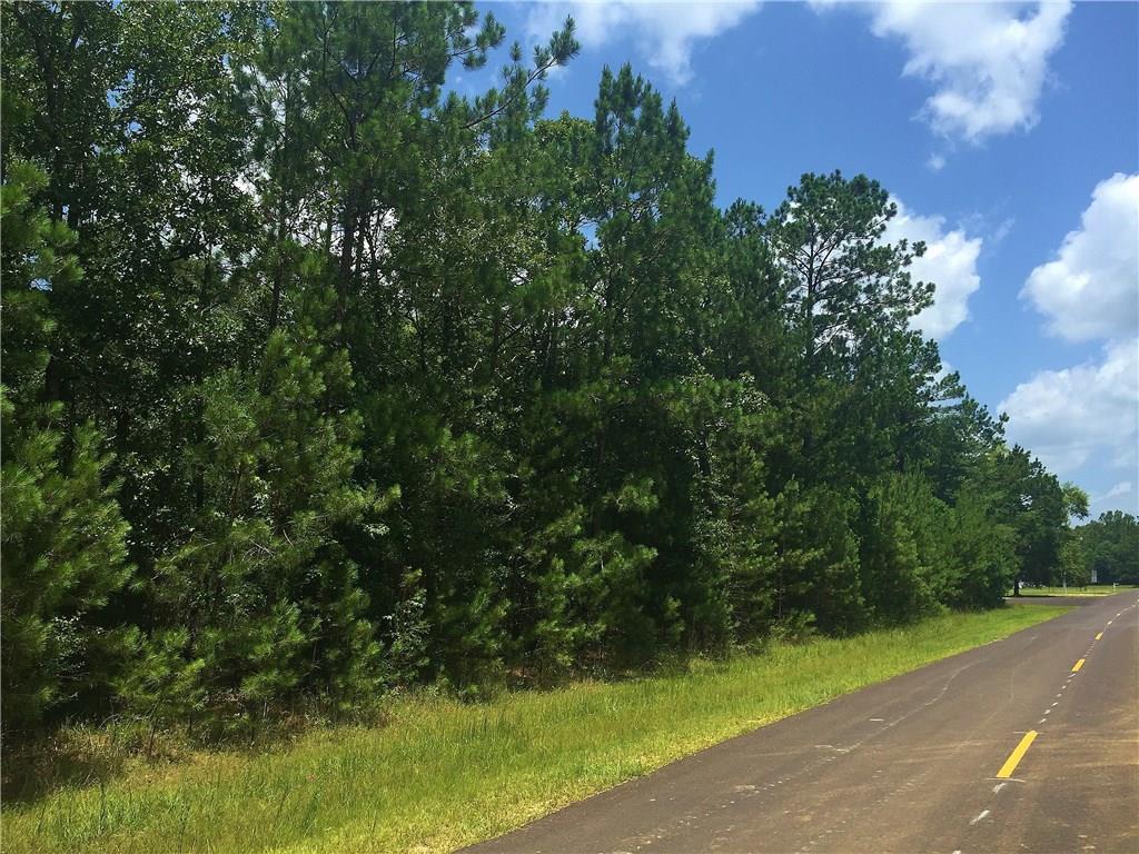 17494 Rising Fawn Road Amite, LA 70422 - Photo 3 of 3