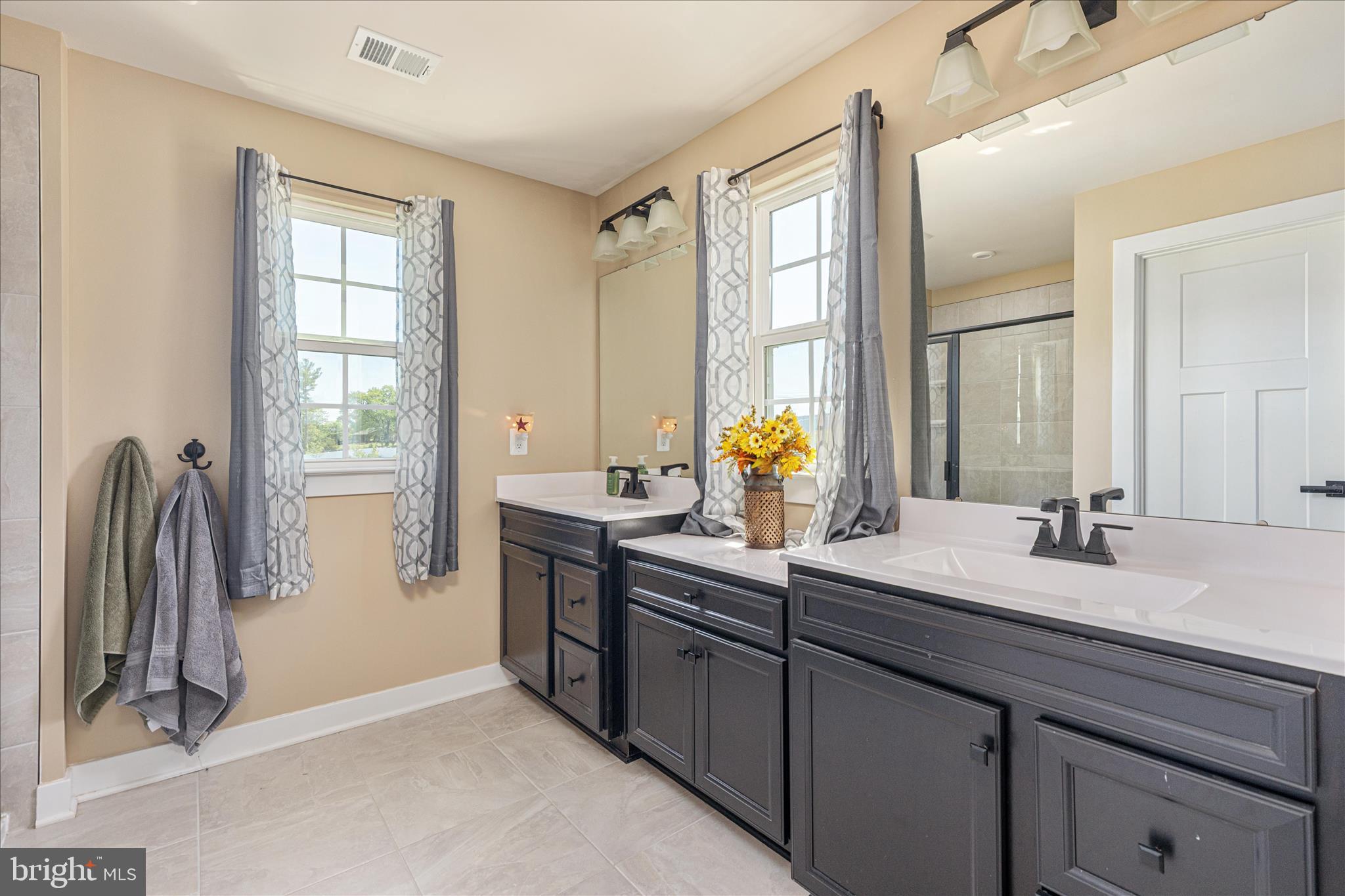 207 Decatur Circle Stephens City, VA 22655 - Photo 25 of 74 Primary Bathroom