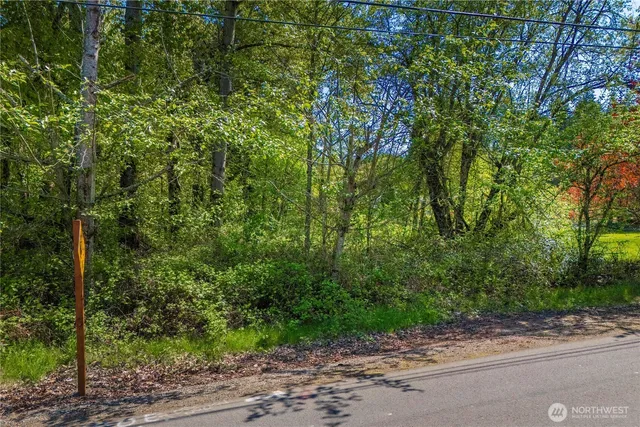 a view of a yard with plants and large trees