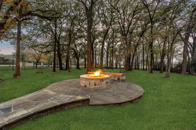 a view of a park with large trees