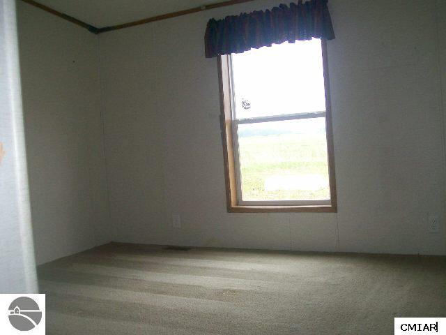 17832 South Fenmore Road Bannister, MI 48807 - Photo 5 of 6 1768057-4.JPG