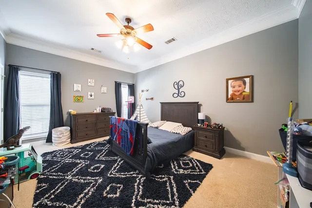 a view of a backyard with large trees
