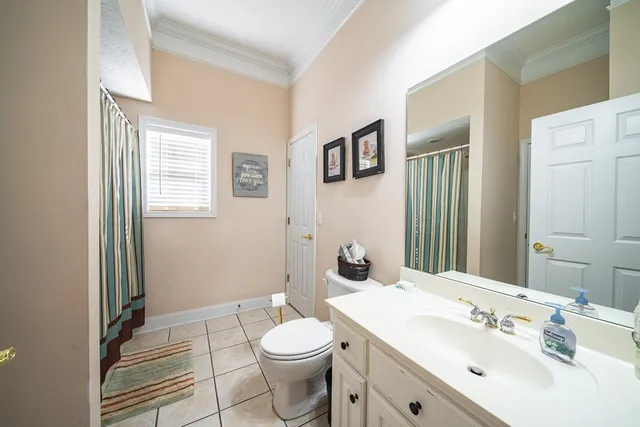 a view of road with large trees