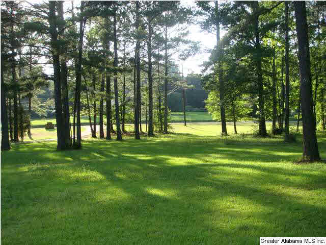 7817 Clayton Road Trussville, AL 35173 - Photo 4 of 27