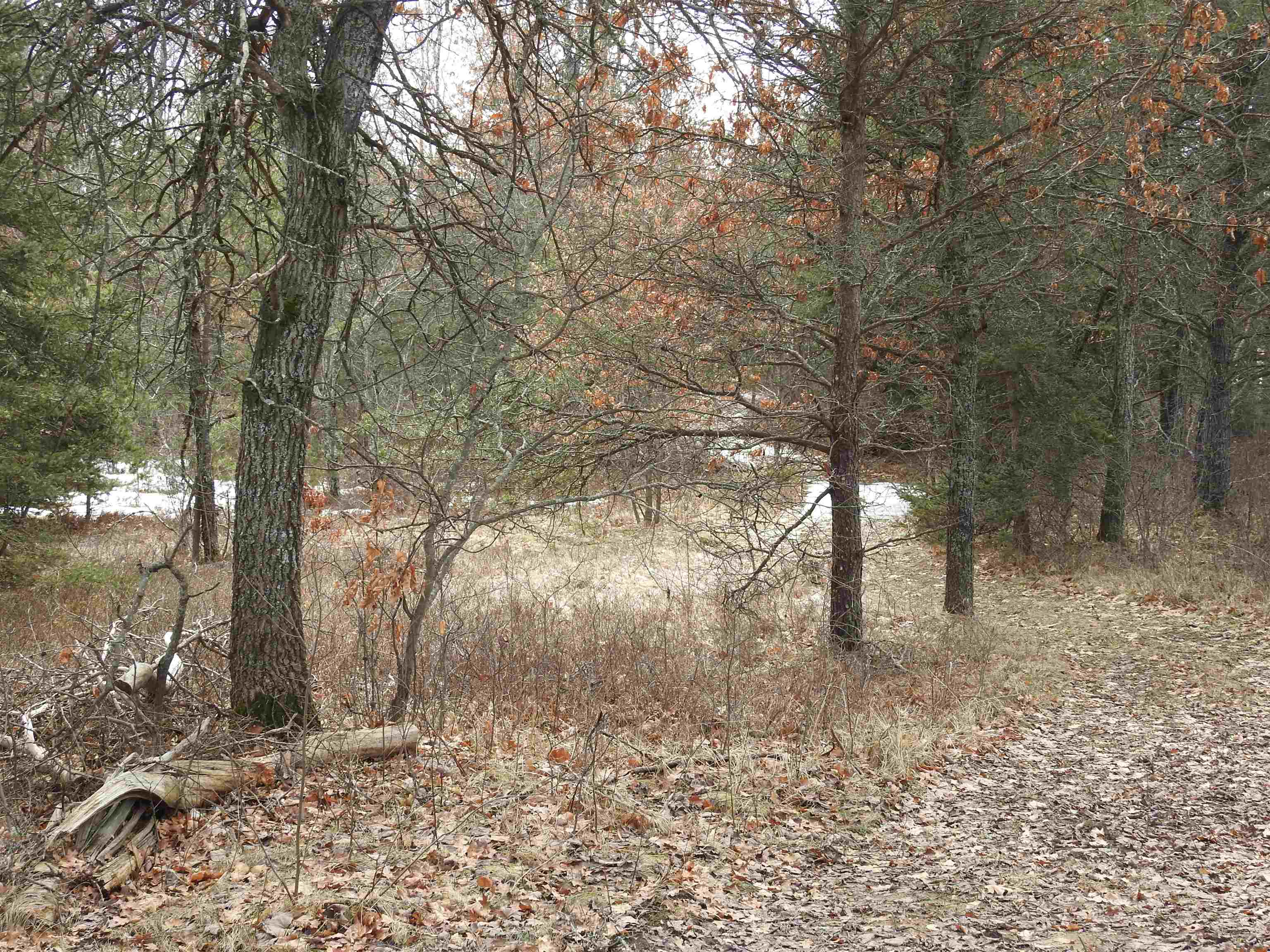 11909 Leline Road Roscommon, MI 48653 - Photo 20 of 31 1898169-19.JPG
