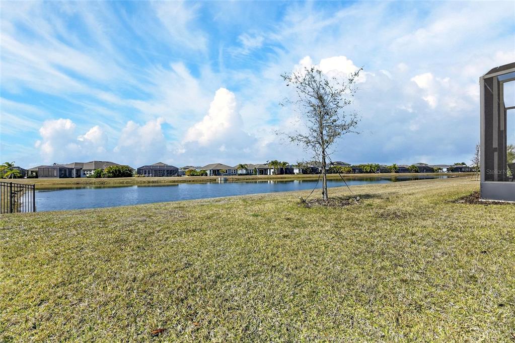 6204 Mooring Line Circle Apollo Beach, FL 33572 - Photo 36 of 51