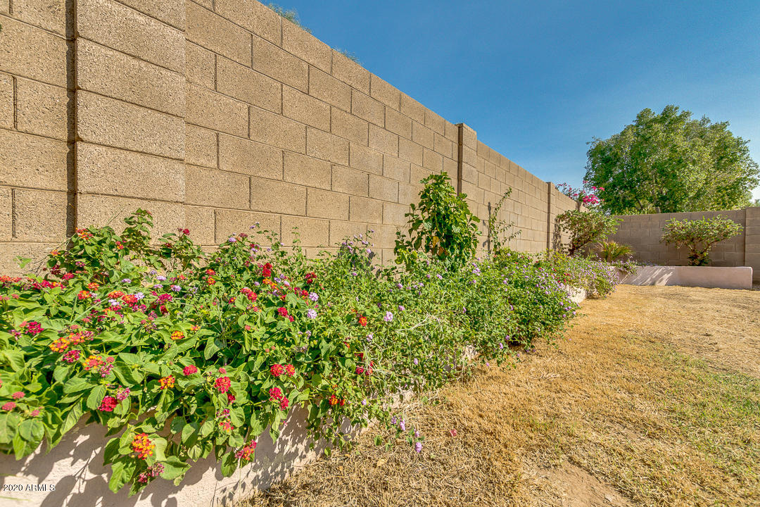 1429 South Racine Mesa, AZ 85206 - Photo 31 of 33 Backyard