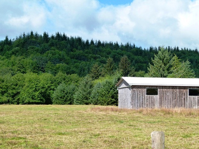 5945 Creekside Mdws Road Tillamook, OR 97141 - Photo 8 of 8 VIEW TO WEST