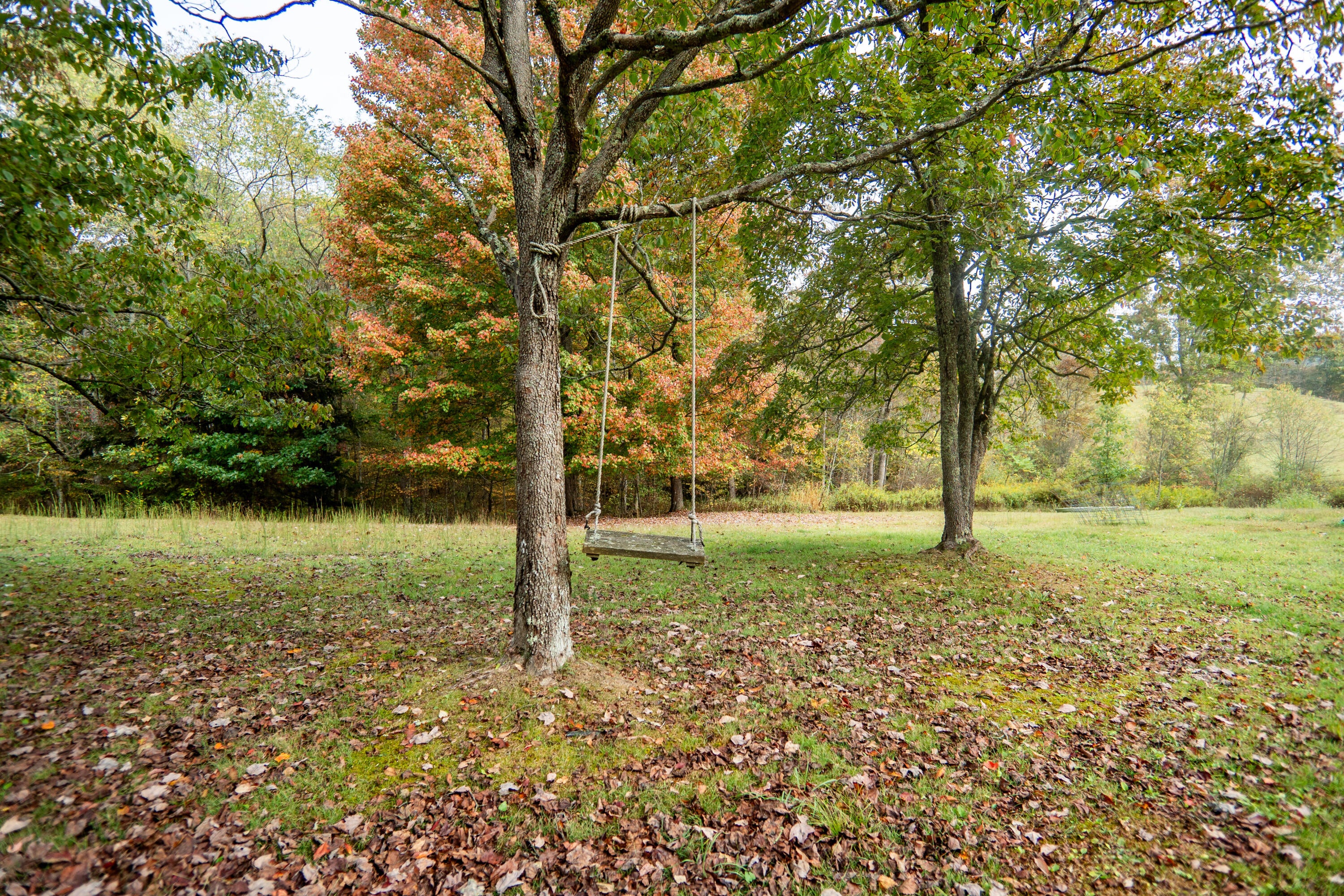 759 Simms Mountain Road Rainelle, WV 25962 - Photo 39 of 55 Gallery Image 39