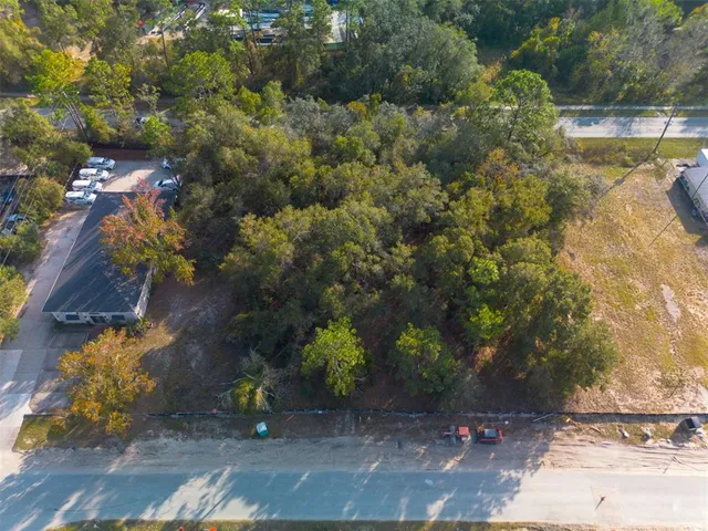 a view of a plants and large trees