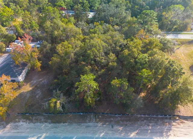 a view of city and mountain