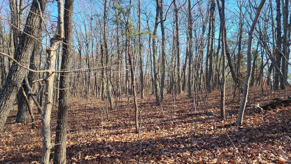 2 Rocky Mount Road Dillwyn, VA 23936 - Photo 6 of 19 Gallery Image 6