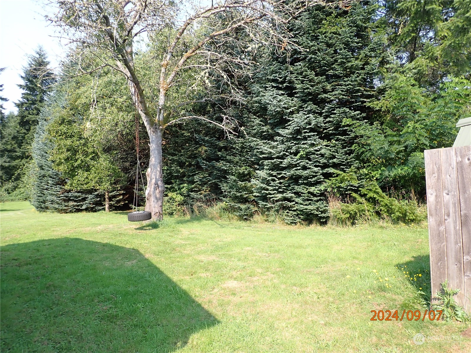 35 Camp Creek Road Montesano, WA 98563 - Photo 7 of 33 Gallery Image 7