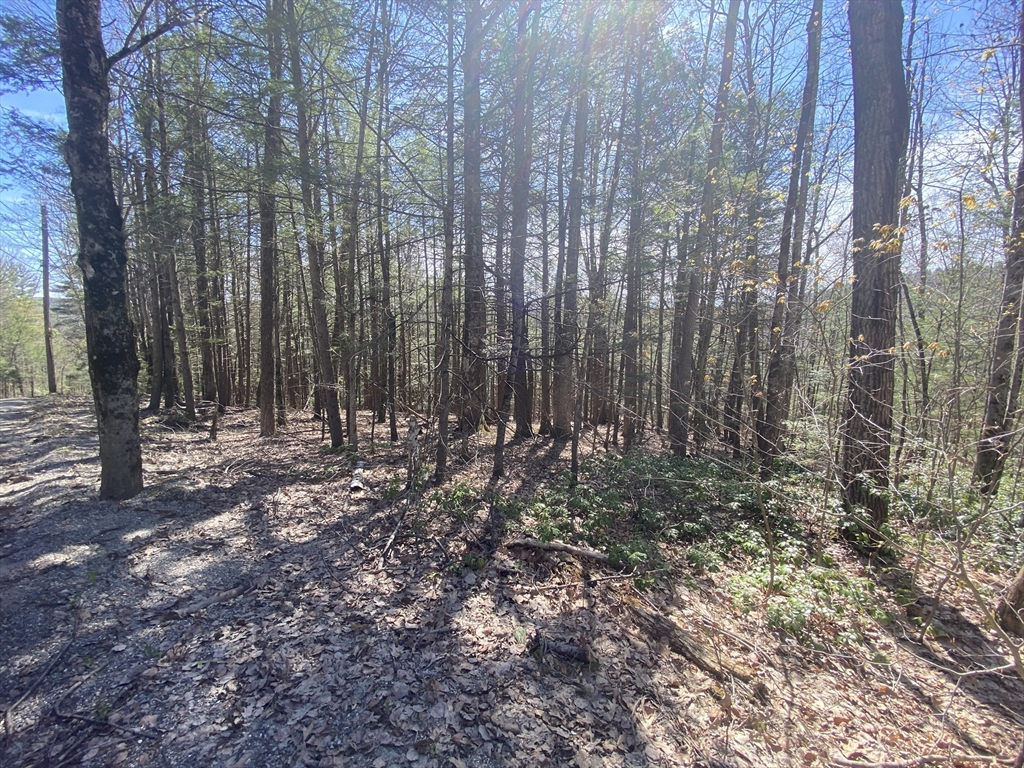 Lot 23-25 Hawk Hill Road Shelburne Falls, MA 01370 - Photo 6 of 8