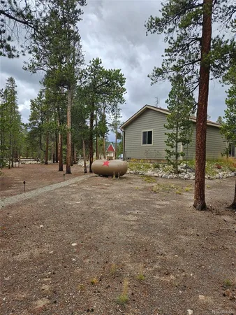 a view of backyard with tree s