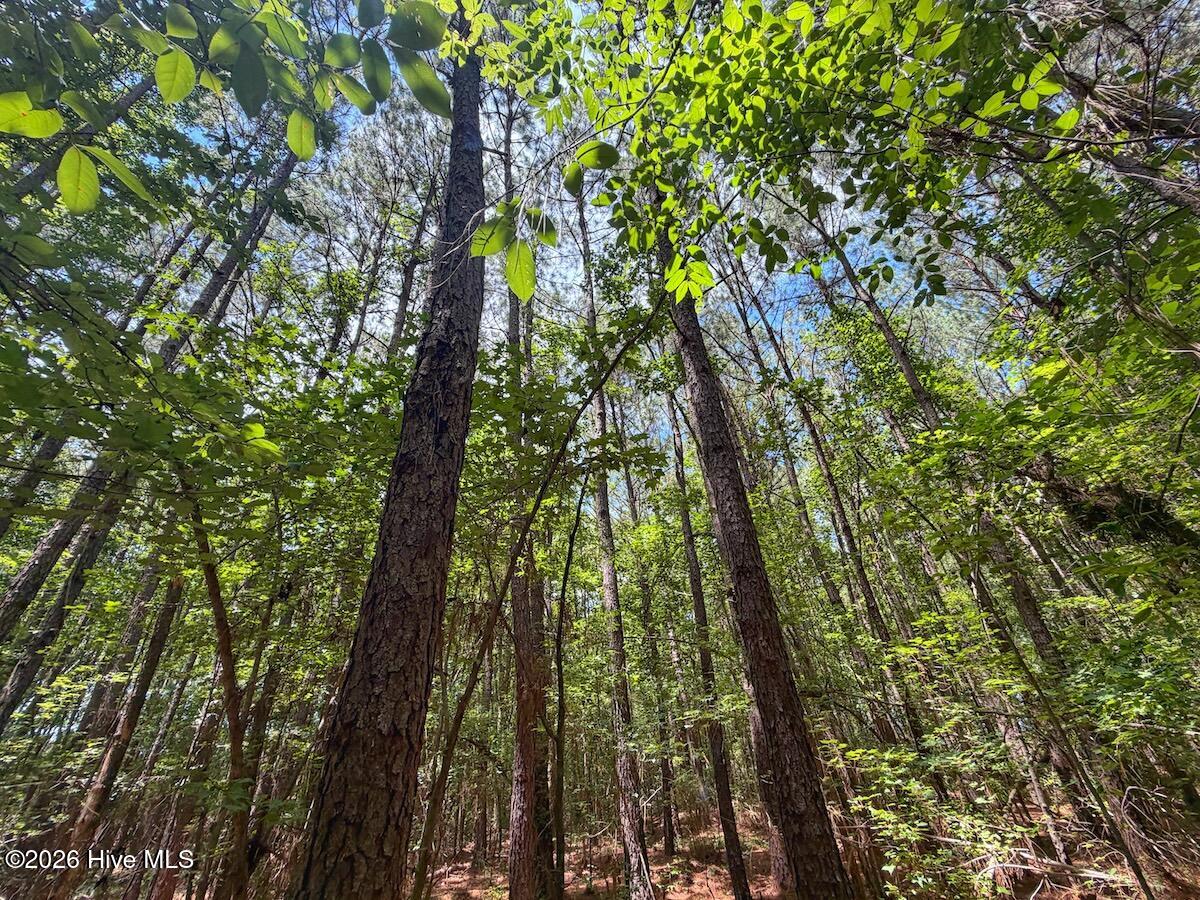 4 Titan Roberts Road Erwin, NC 28339 - Photo 15 of 36