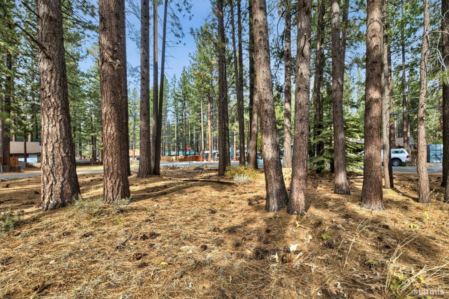 1124 Martin Avenue South Lake Tahoe, CA 96150 - Photo 1 of 16 a backyard of a house with lots of green space