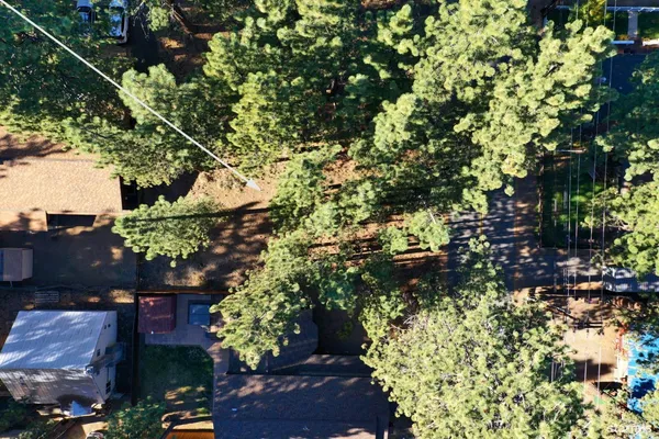 a view of a yard with large trees