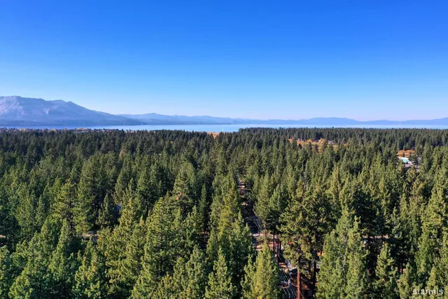 a view of a city with lush green forest
