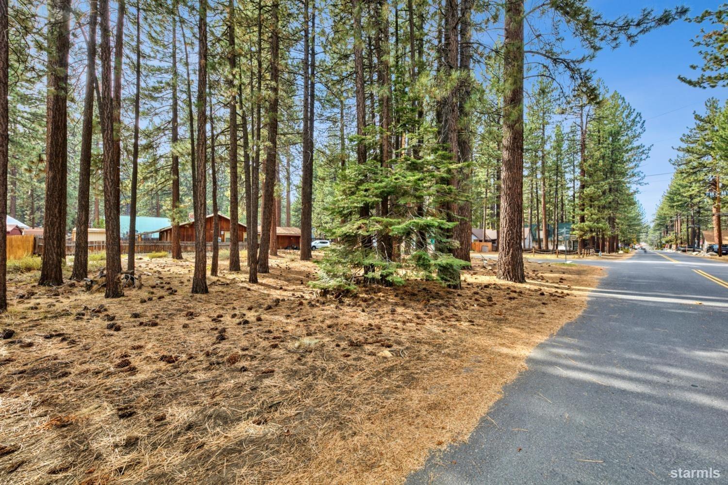 1124 Martin Avenue South Lake Tahoe, CA 96150 - Photo 4 of 16 a backyard of a house with table and chairs