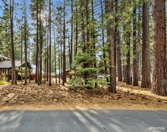 a view of a yard with large trees