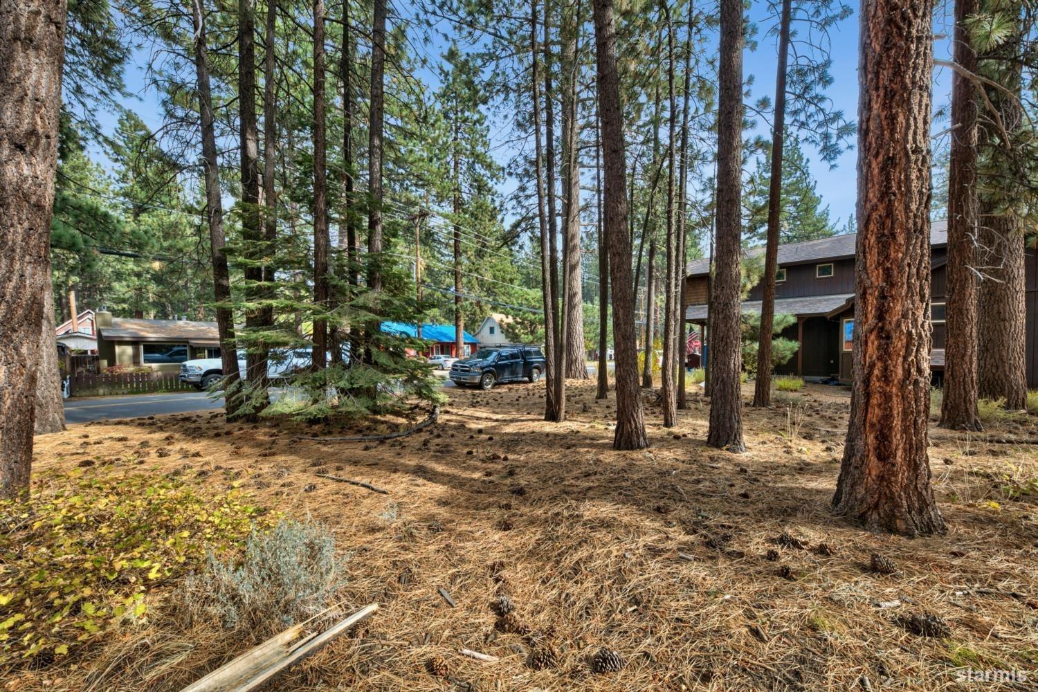 1124 Martin Avenue South Lake Tahoe, CA 96150 - Photo 7 of 16 a view of a park with large trees