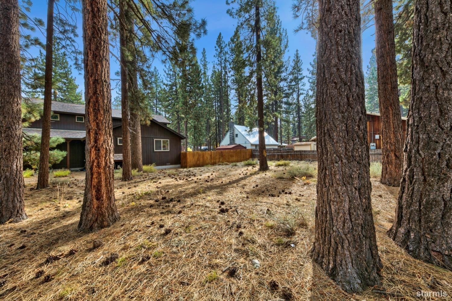 1124 Martin Avenue South Lake Tahoe, CA 96150 - Photo 8 of 16 a view of a yard with plants and trees