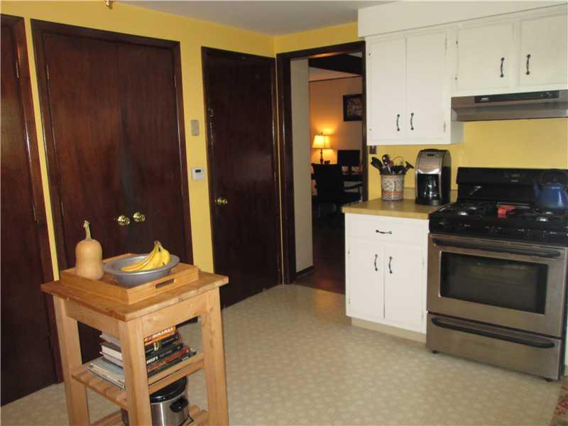 727 Blue Ridge Road Plum, PA 15239 - Photo 4 of 17 Kitchen. You will love the Pantries
