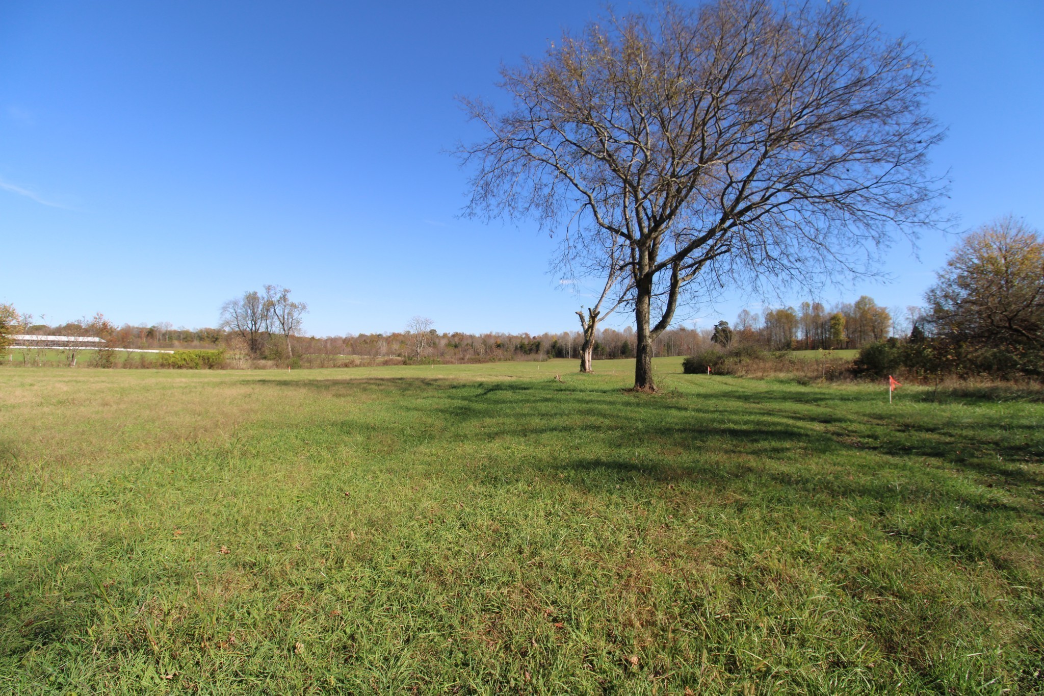 5 Willette Road Red Boiling Springs, TN 37150 - Photo 13 of 19