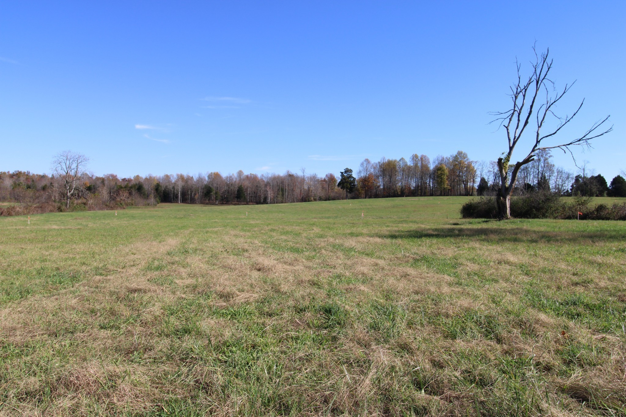 5 Willette Road Red Boiling Springs, TN 37150 - Photo 15 of 19